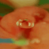 Animation 6